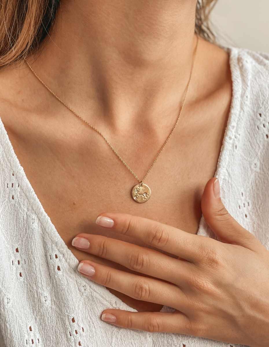 Stříbrný náhrdelník Golden Zodiac - Pisces - Indira