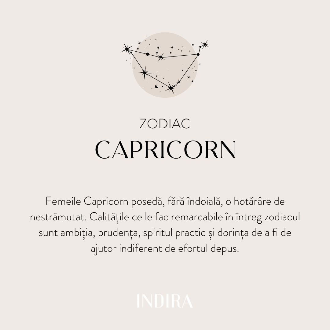 Stříbrný náhrdelník Silver Zodiac - Capricorn - Indira